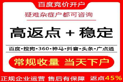 百度竞价代理实战技巧：经典案例深度解读